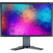 LCD Monitor 22 EIZO FlexScan S2202W GB  Referbish