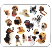 All-06914 Mousepad Dog Group