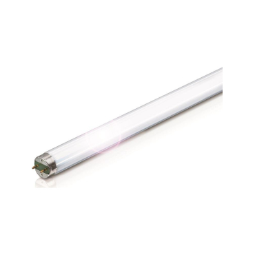 Philips Λάμπα Φθορίου T8 36W Snowwhite