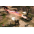 Pct C C 3 Tiberium Wars Kane Edition PC