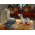 The Sims 2 Pets PC