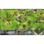 Exclusive Age Of Mythology Gold