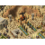Exclusive Age Of Mythology Gold