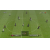 Pro Evolution Soccer 2009 PC
