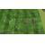 FIFA 2009 PS2
