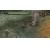 Lord of the Rings: Aragorns Quest PS2