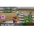 Pokemon Black DS